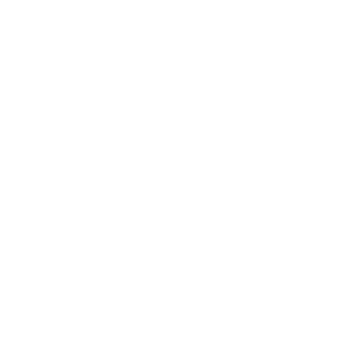 EraCrux Logo